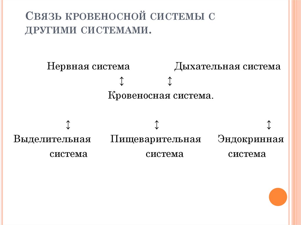 Сердечные связи