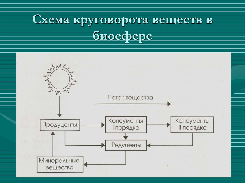 Круговорот это в биологии. Биологический круговорот веществ в биосфере схема. Составить схему биологического круговорота веществ. Как происходит круговорот веществ в биосфере схема. Составить схему круговорота веществ в природе.