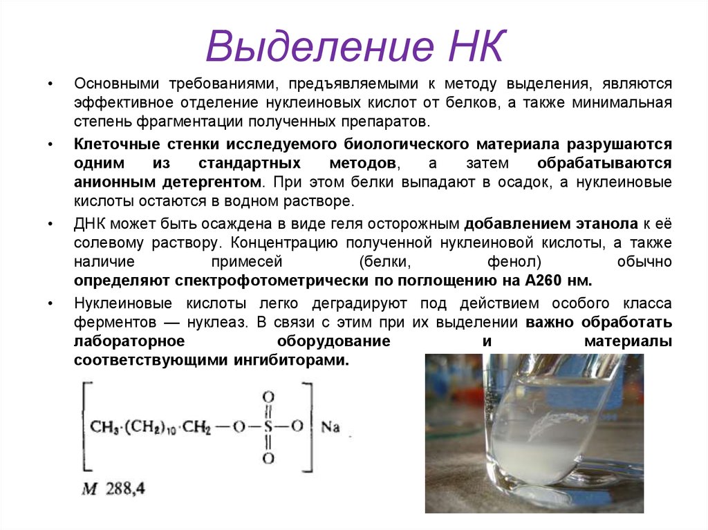 Выделение также. Методы выделения РНК. Методы выделения ДНК из биологического материала. Жидкофазные методы выделения ДНК. Выделение и очистка нуклеиновых кислот.