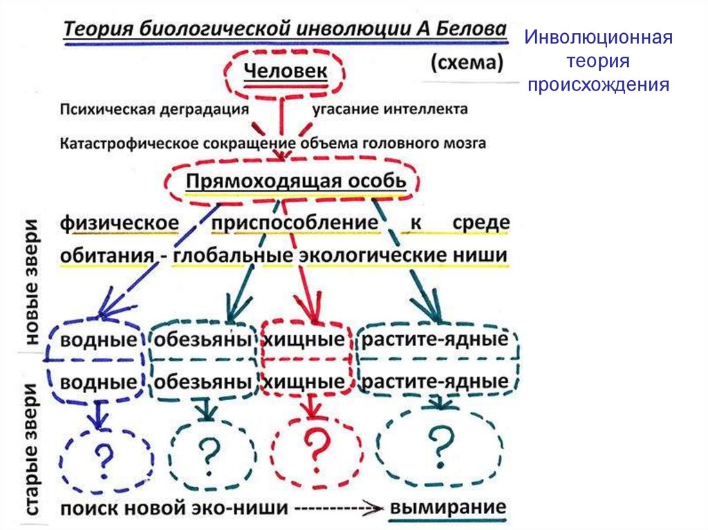 Эволюция и инволюция