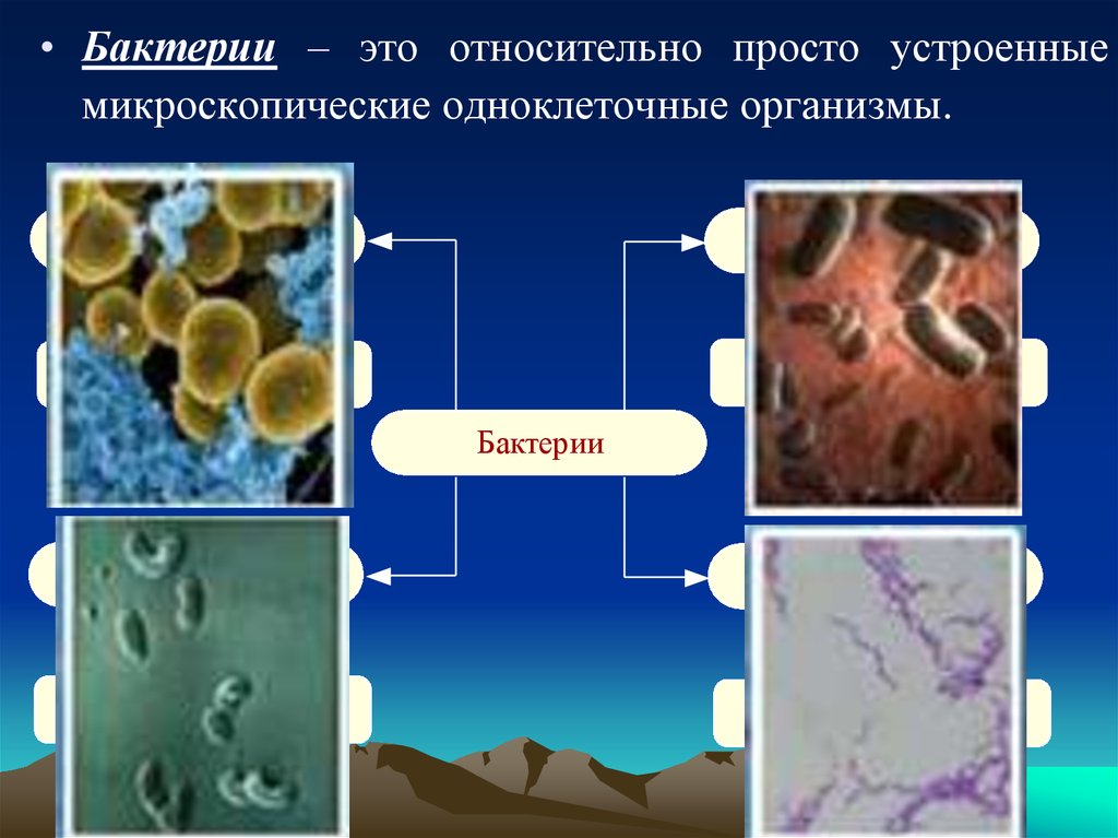 Просто устроенные. Бактерии просто устроенные микроскопические организмы. Одноклеточные микроскопические организмы. Бактерии относительно просто устроенные микроорганизмы состоящие из. Бактерия это просто устроенные одноклеточные.