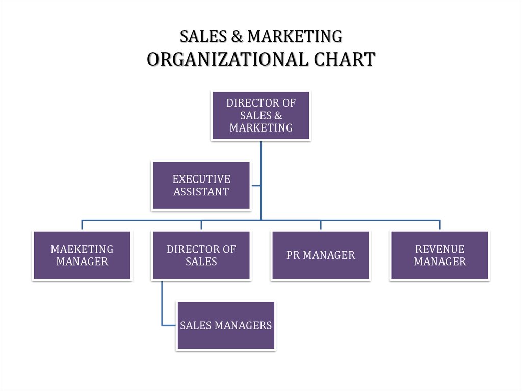 Sales And Marketing Department Chart
