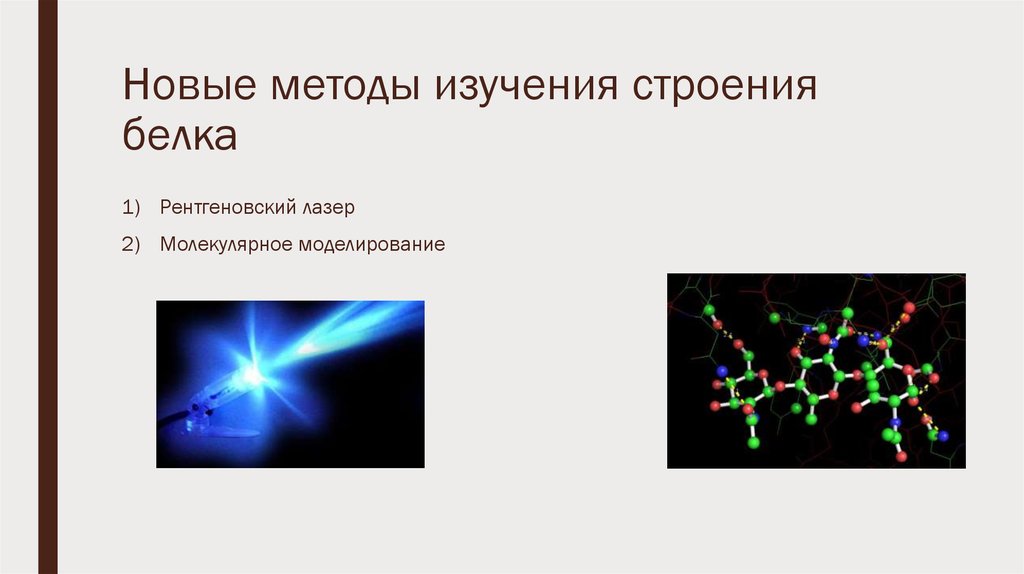 Белки исследования. Методы изучения белков. Методы исследования структуры белков. Методы изучения строения белков. Методы исследования структуры белка.