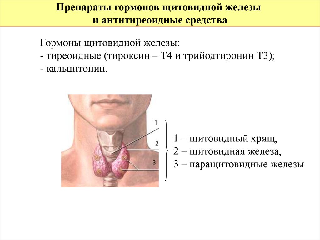 Щитовидная железа операция стоимость