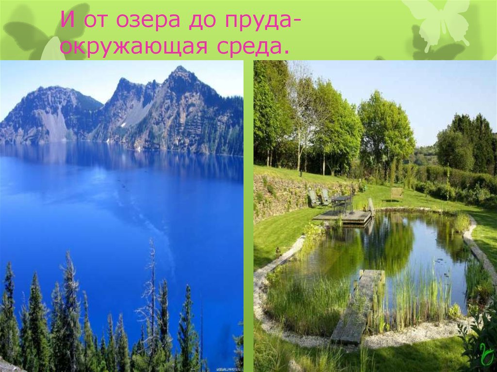 И от озера до пруда-окружающая среда.