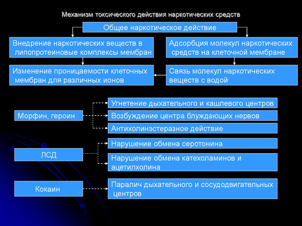 Механизм действия веществ. Общие механизмы действия наркотиков. Схема действия наркотических веществ. Механизм действия токсических веществ на организм. Механизм действия наркотических веществ.