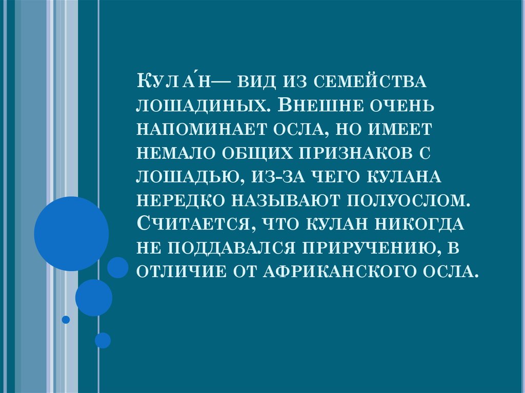 Немало общего. Сообщение о Кулане. Кулан красная книга краткое описание. Конспект по Кулану. Тибетский Кулан доклад 2 класс.