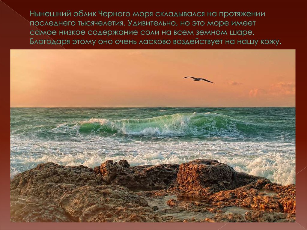 Нынешний облик Черного моря складывался на протяжении последнего тысячелетия. Удивительно, но это море имеет самое низкое