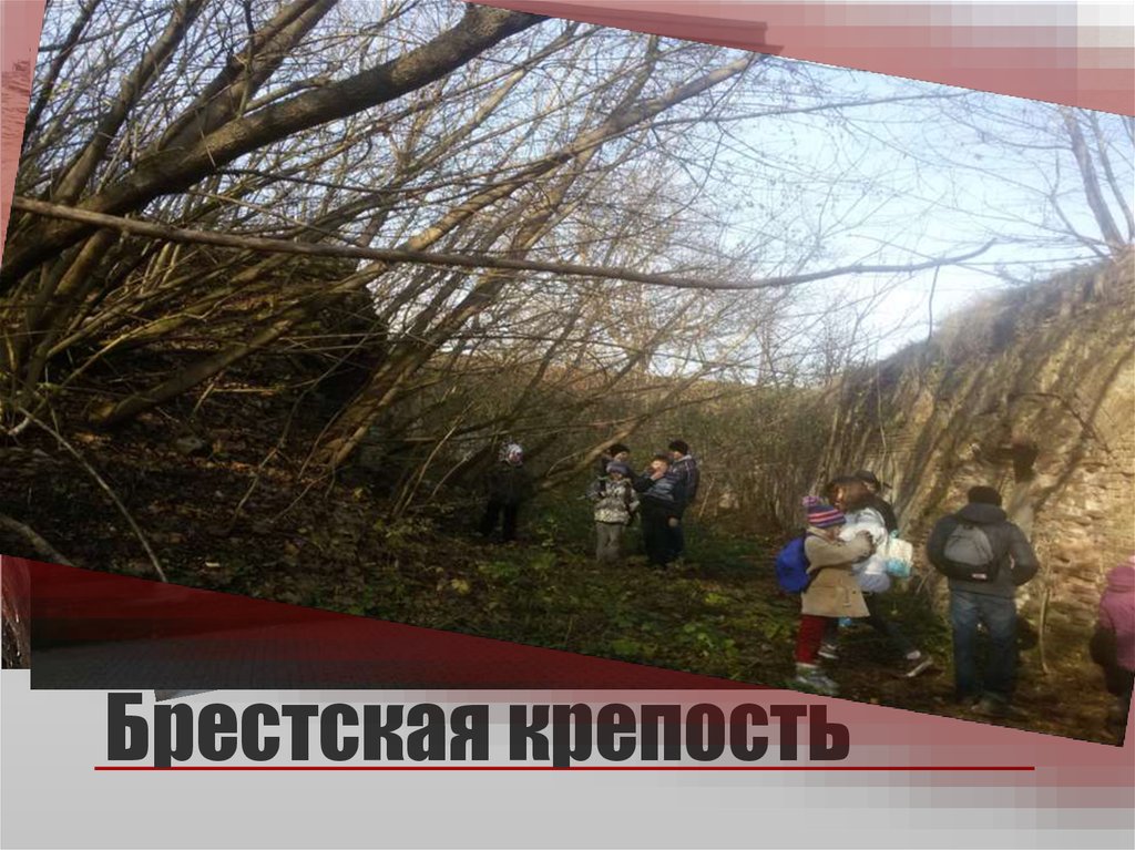 Брестская крепость