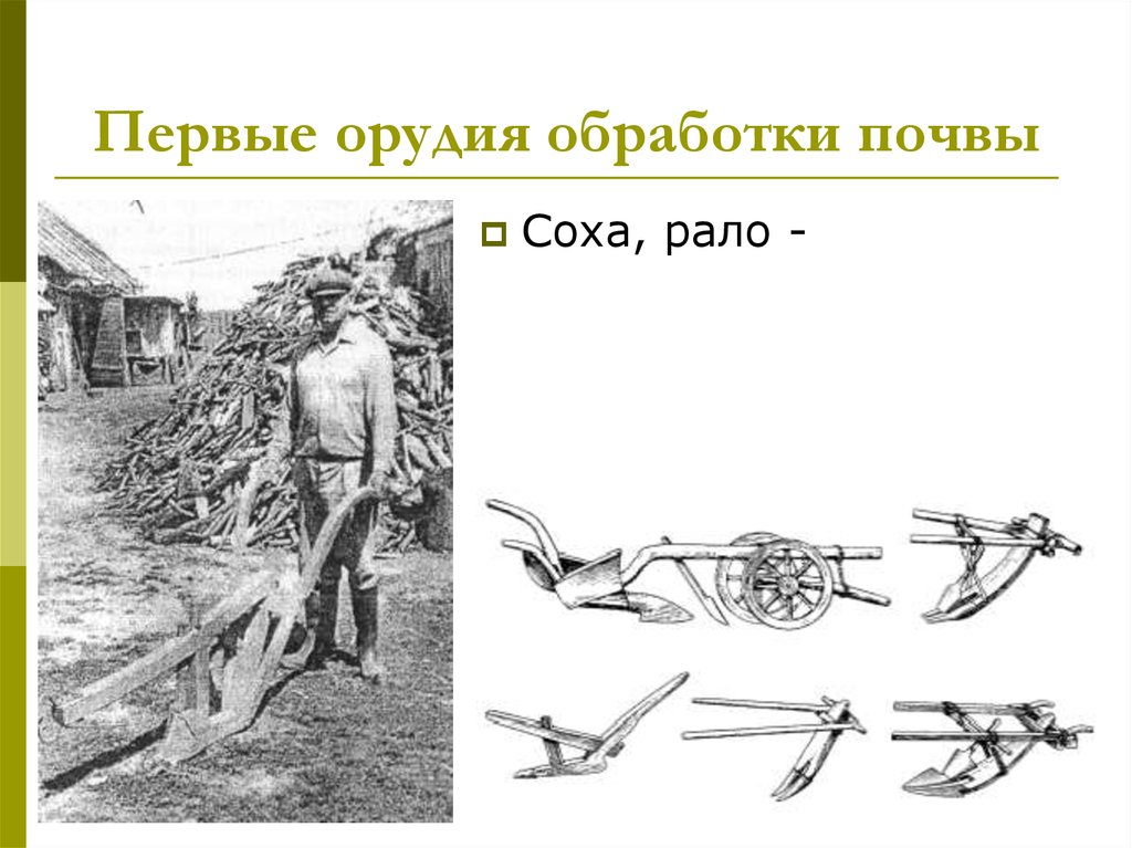 Рало это. Орудия для обработки почвы. Рало плуг. Рало и Соха. Обработка почвы сохой.