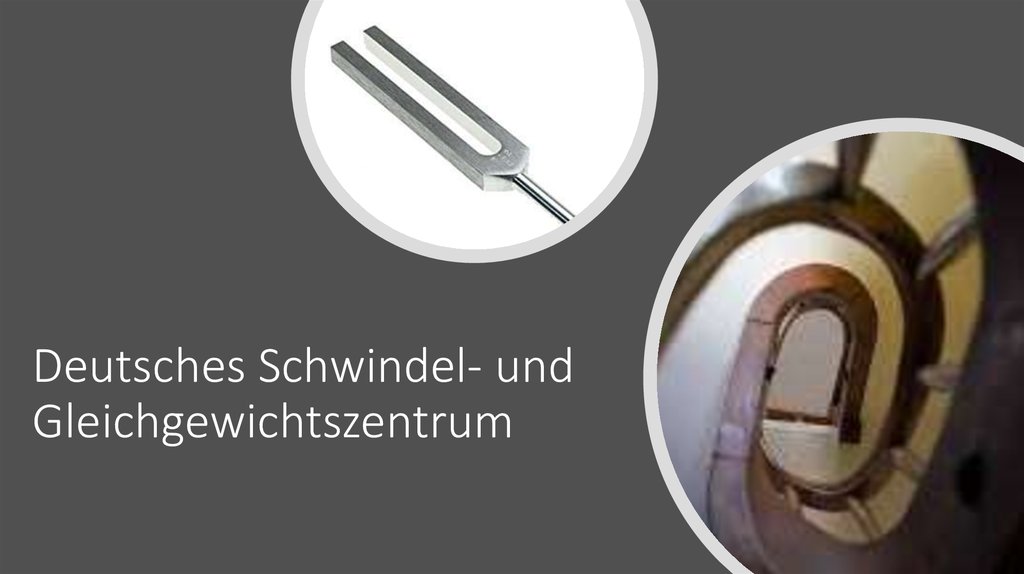 Deutsches Schwindel- und Gleichgewichtszentrum