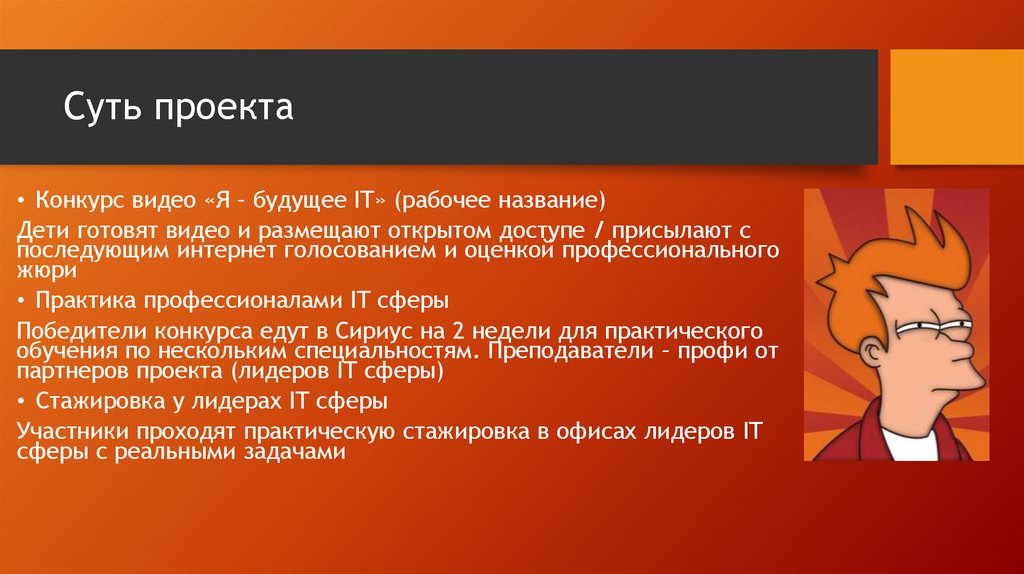 Что такое суть проекта