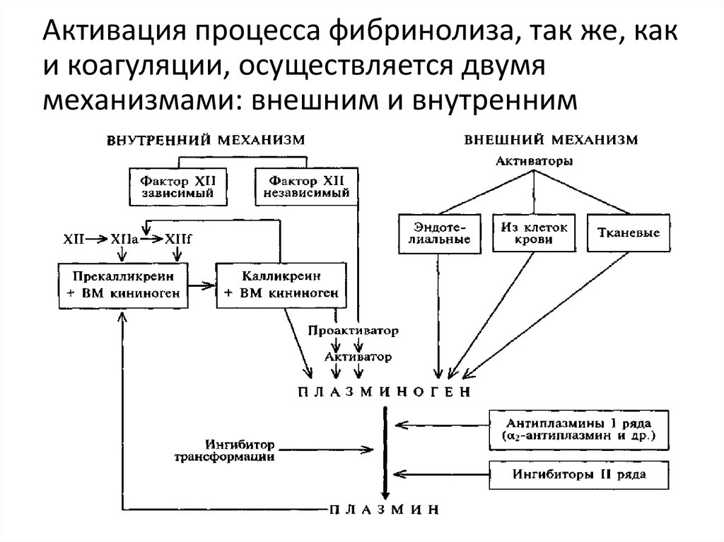 Ферменты свертывания крови. Механизмы стимуляции фибринолиза. Внутренний путь активации системы фибринолиза это:. Активаторы системы фибринолиза. Механизм системы фибринолиза.