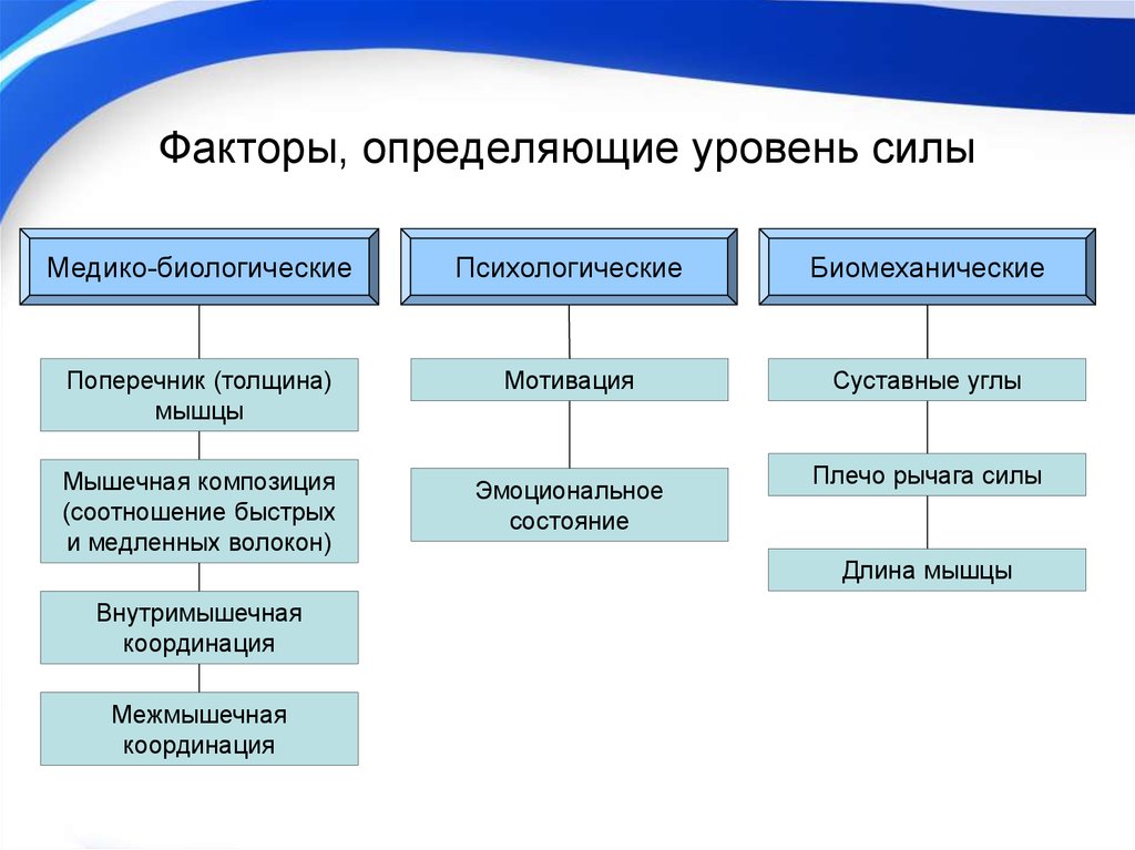 Определить уровень развития. Факторы, определяющие уровень силы. Факторы определяющие силу мышц. Факторы влияющие на силу мышц. Факторы развития силы.