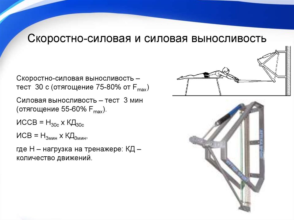 Силовая выносливость упражнения. Скоростно-силовая выносливость упражнения. Развитие скоростно-силовой выносливости упражнения. Скоросно силовая упражнения. Тест на развитие скоростно-силовых способностей.