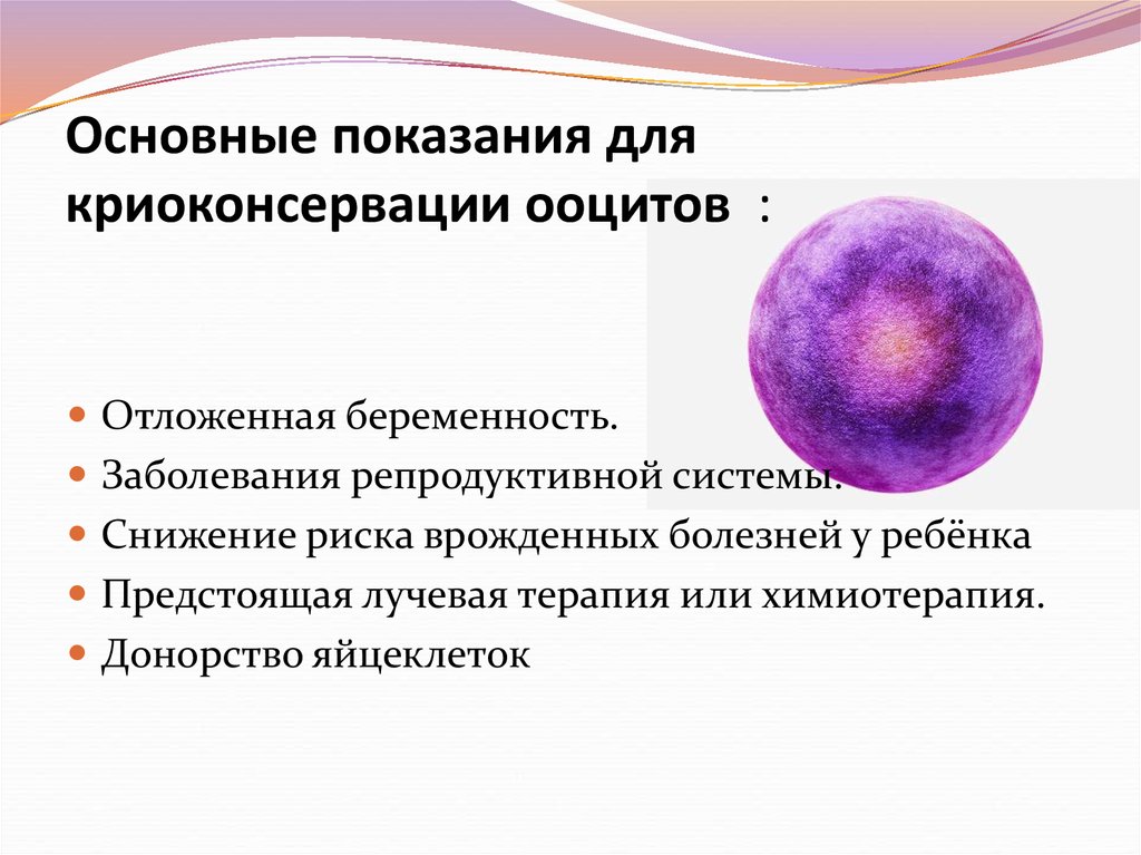 Заморозка яйцеклеток. Показания для криоконсервации эмбрионов.. Подготовка к криоконсервации яйцеклеток. Заморозка ооцитов. Витрификация ооцитов.