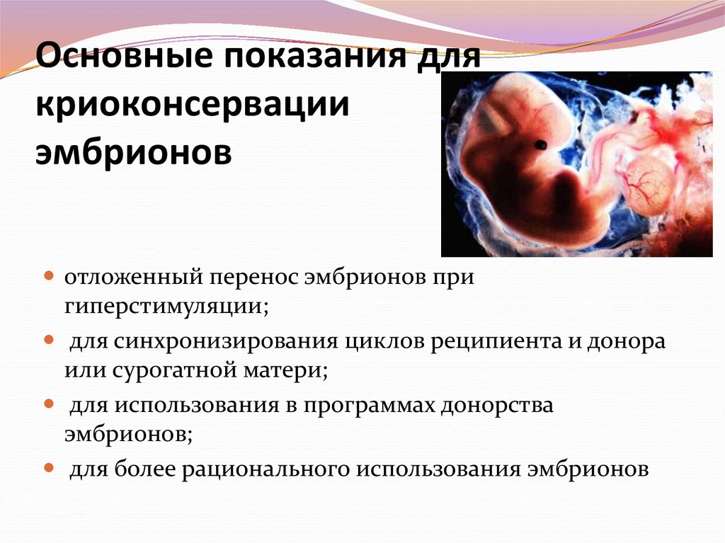 Подсадка эмбриона суррогатной матери. Показания к криоконсервации эмбрионов. Перенос криоконсервированных эмбрионов. Этапы криоконсервации эмбрионов. Подготовка к криопереносу эмбрионов.