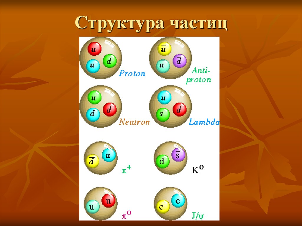 В состав частицы входят. Структура частиц. Состав частицы. Строение структурных частиц. Структурные частицы вещества.