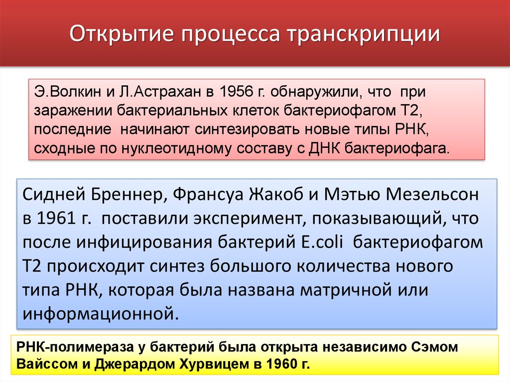 Суть процесса транскрипции. Суть процесса транскрипции
