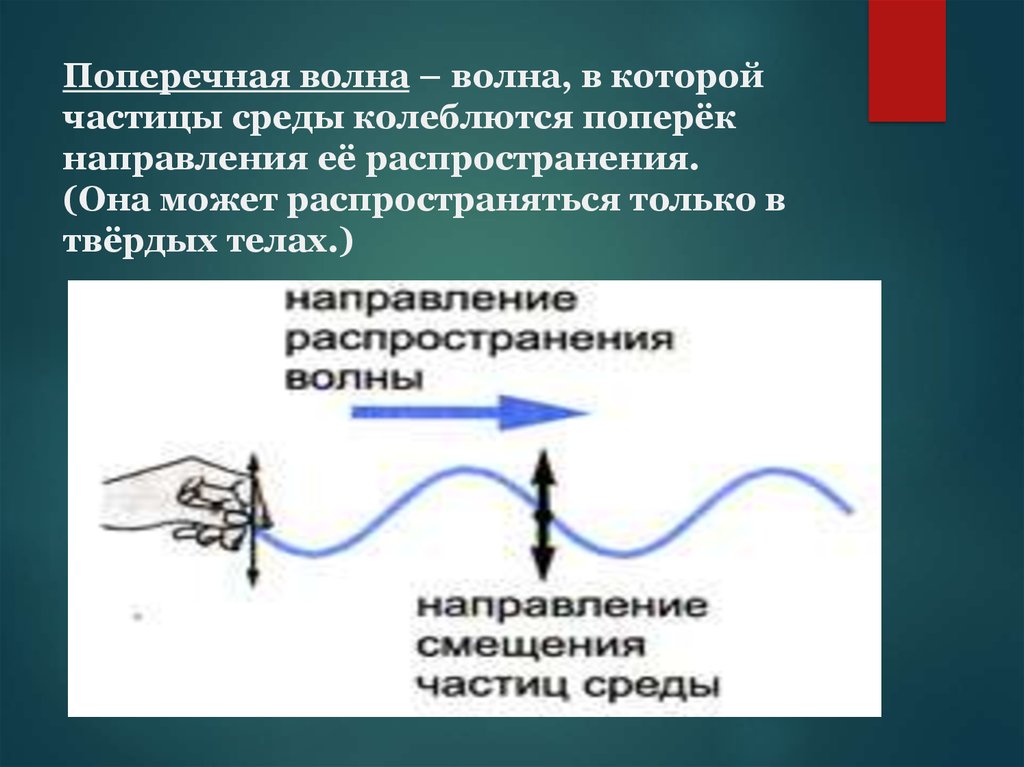 Направление распространения. Направление колебаний частиц среды поперечной волны. Среда распространения поперечной волны. Поперечные волны распространяются. В поперечных волнах частицы среды колеблются.