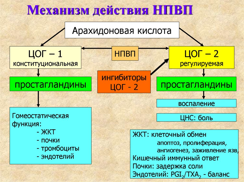 Механизм действия нпвс схема