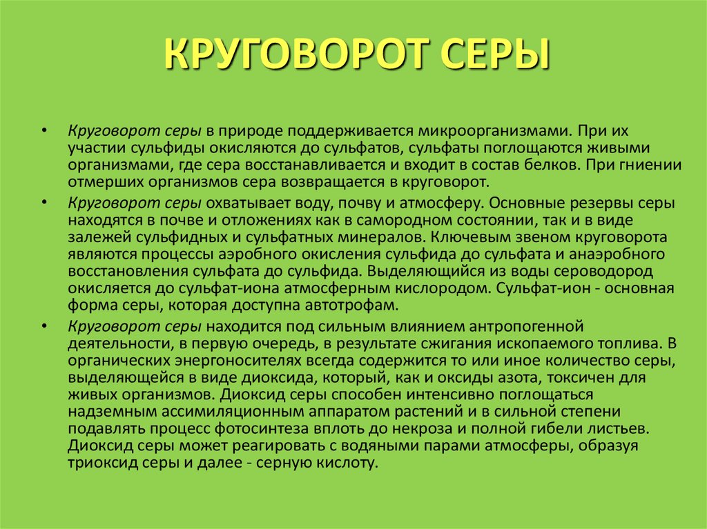 Круговорот серы презентация