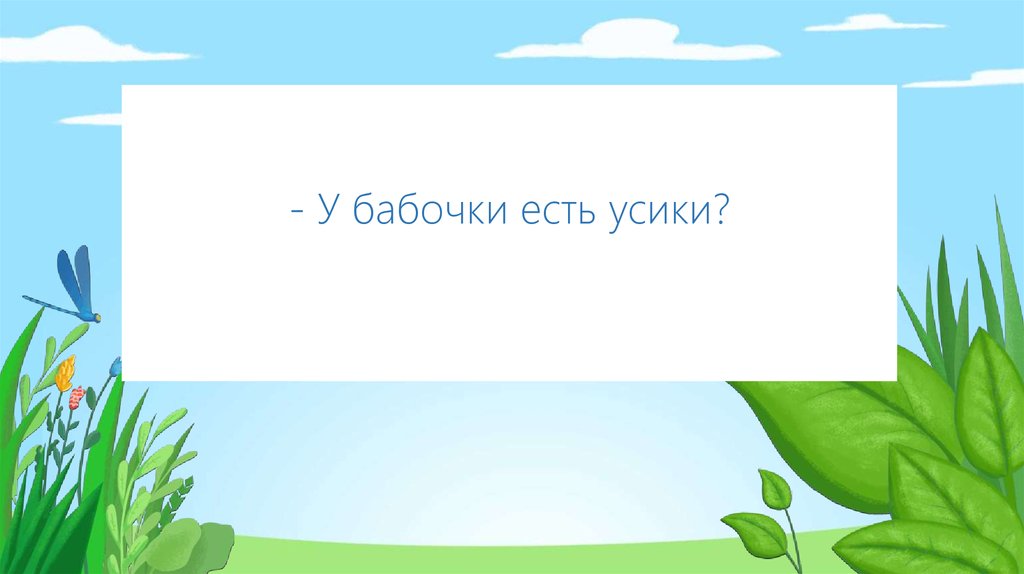 - У бабочки есть усики?