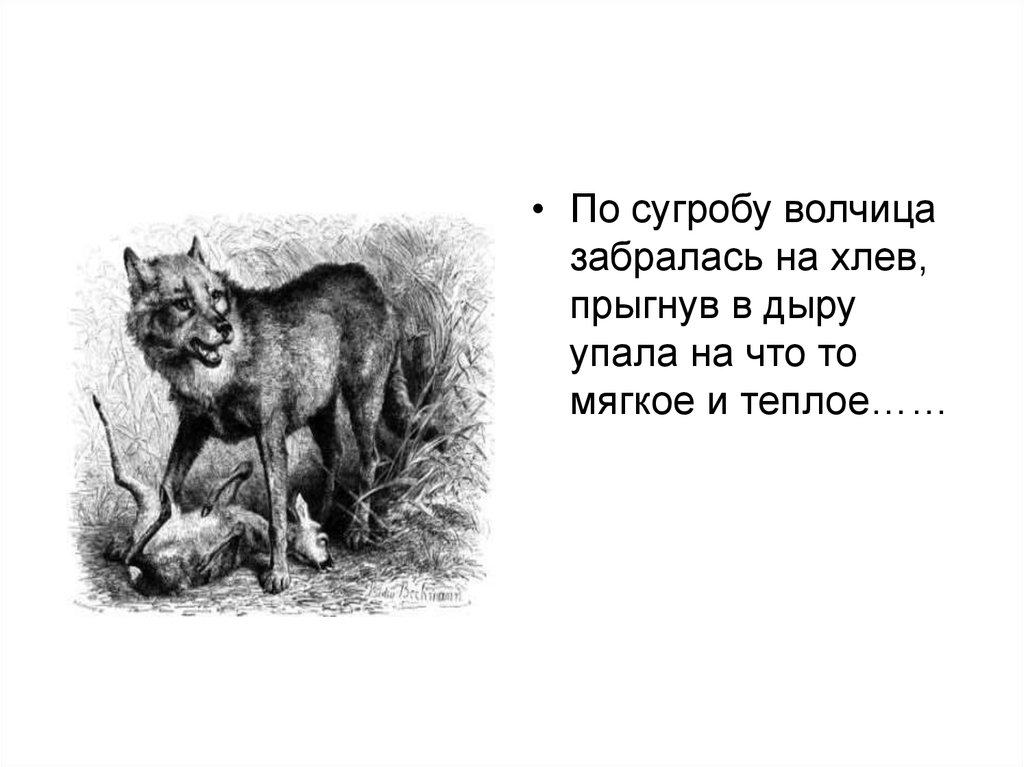 Белолобый краткое для дневника. Белолобый Чехов. План пересказа белолобый. Пересказ белолобый Чехов. Краткий пересказ белолобый Чехов.