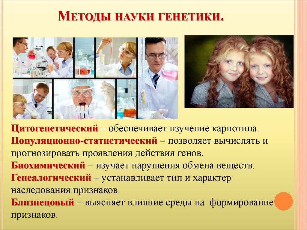 Методы генетики человека презентация