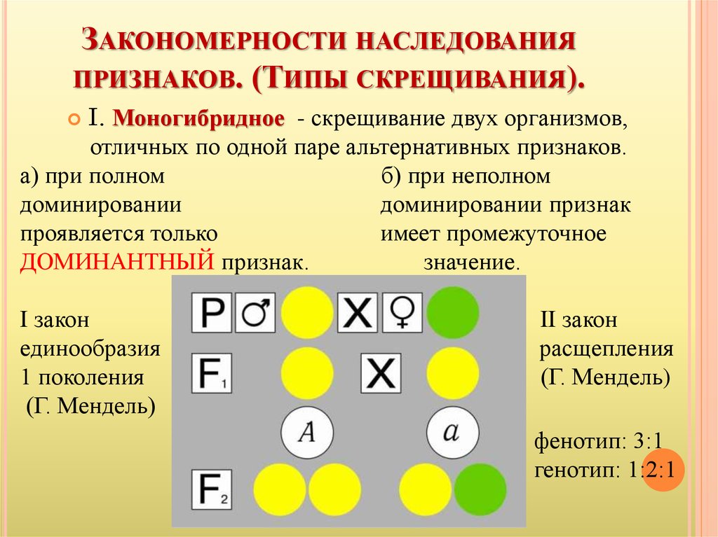 Промежуточное наследование презентация