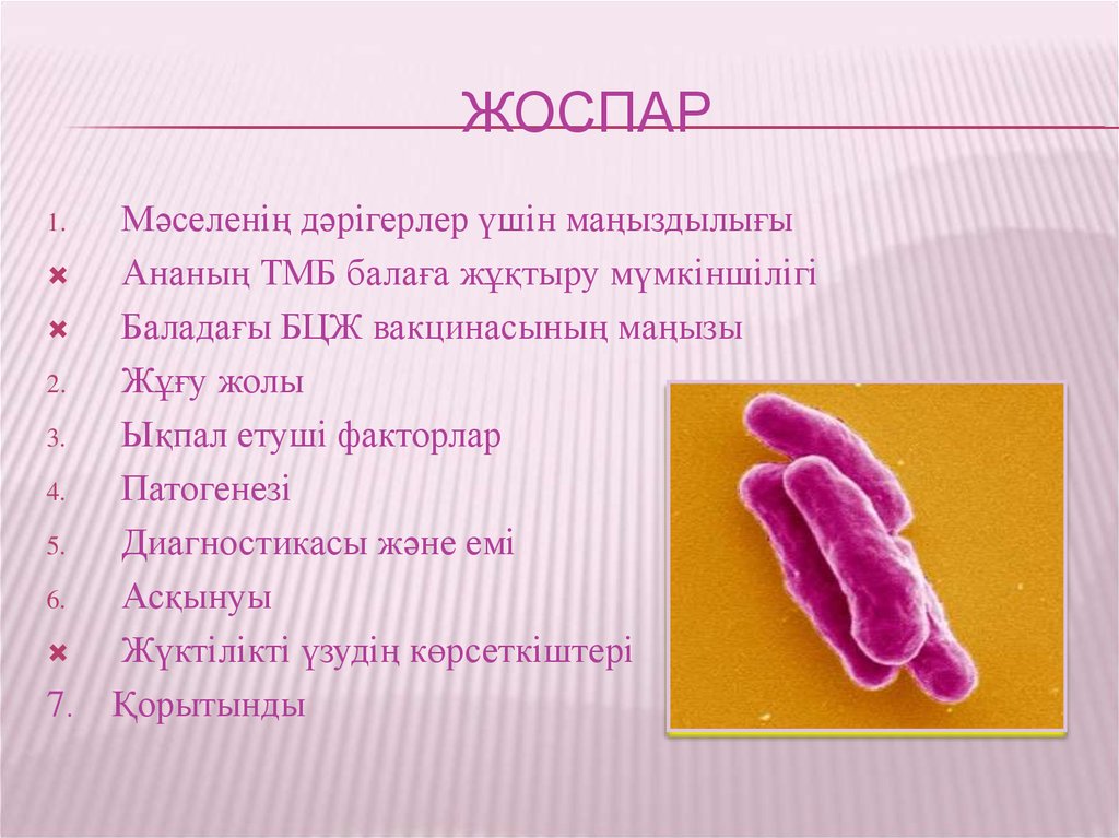 Туберкулез казакша презентация