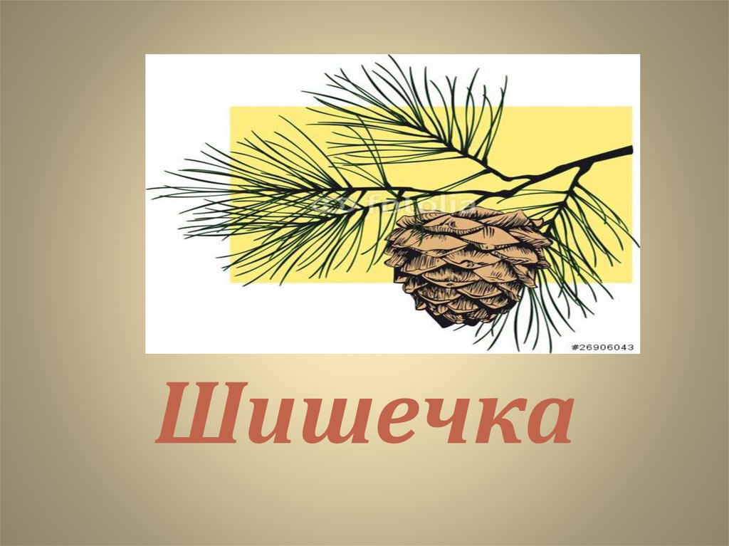 Сестру на пол шишки. Шишечка. Шишка с днем рождения. Надпись шишки. Открытка с днём шишки.