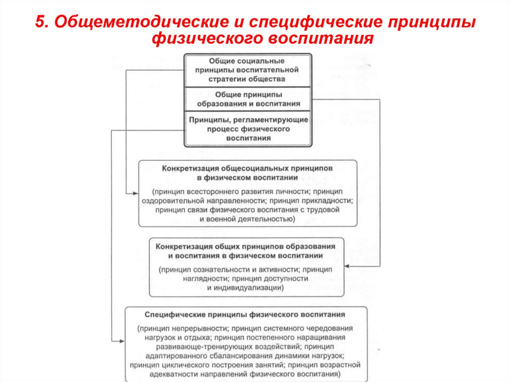 Системное чередование нагрузок и отдыха. Принципы физического воспитания таблица. Иерархия принципов в системе физического воспитания. Схема принципов физического воспитания. Специфические принципы физического воспитания таблица.