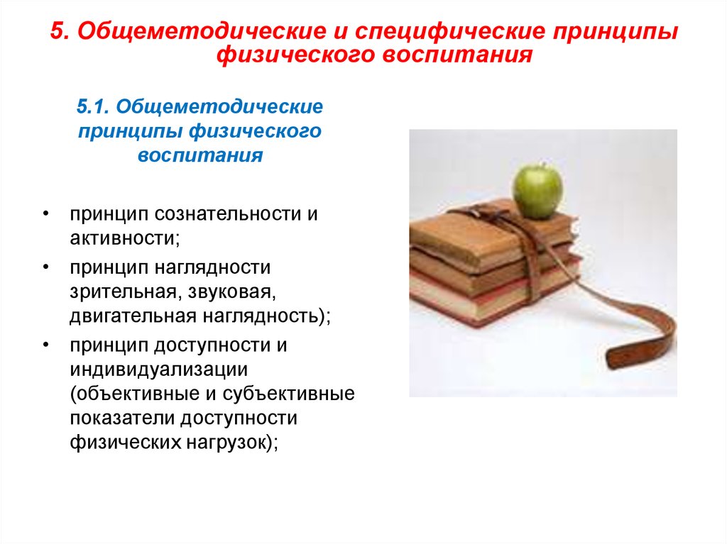 Принципы физического воспитания. Общепедагогические и специфические принципы физического воспитания. Общеметодические принципы физического воспитания. Специфические методические принципы физического воспитания. Общеметодические и специфические принципы ФВ.