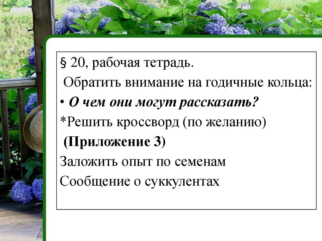 Значение стебля 6 класс биология. Значение стебля в жизни человека. Стебелек лексическое значение. Стебелек травы лексическое значение.