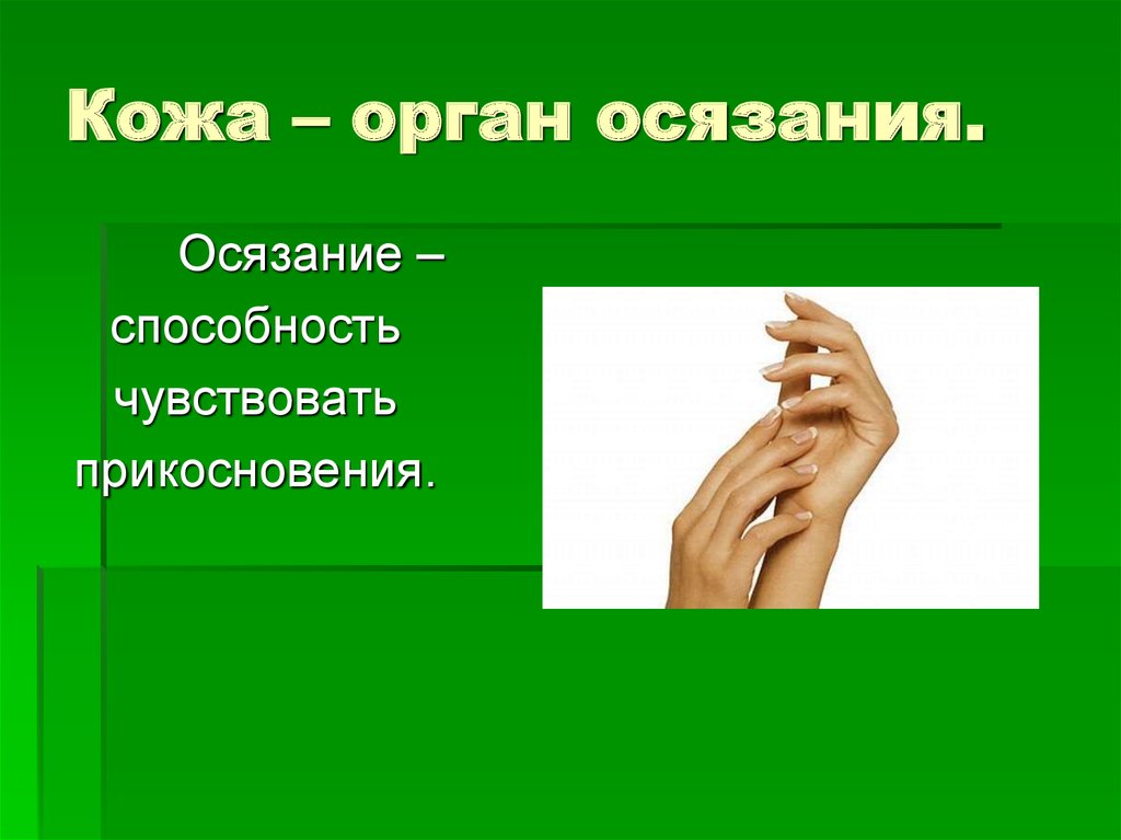 Что такое осязание. Гигиена органа осязания. Болезни органов осязания. Гигиена органов чувств осязание. Гигиена органа чувств кожи.