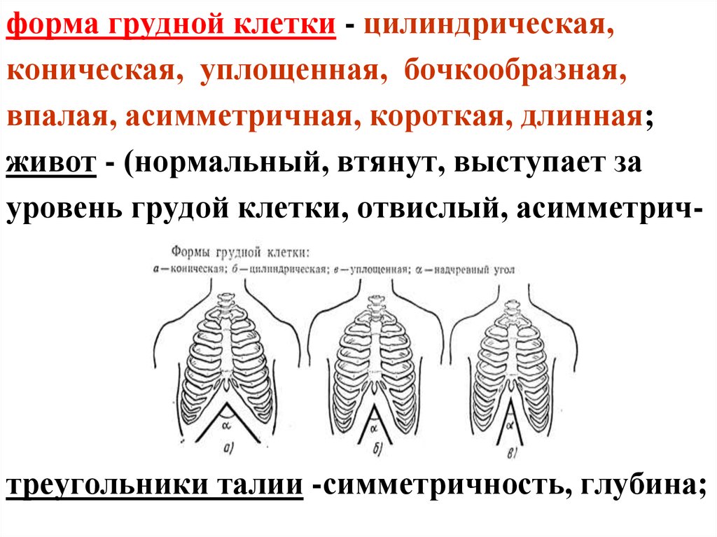 Диаграмма грудной клетки