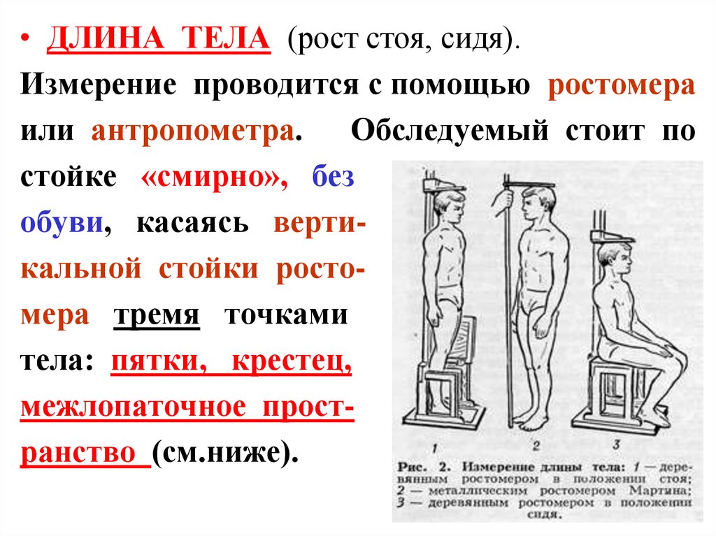 Низшие измерения. Измерение длины тела. Измерение длины тела сидя. Измерение длины тела стоя и сидя. Измерение длины тела (измерение роста) –.