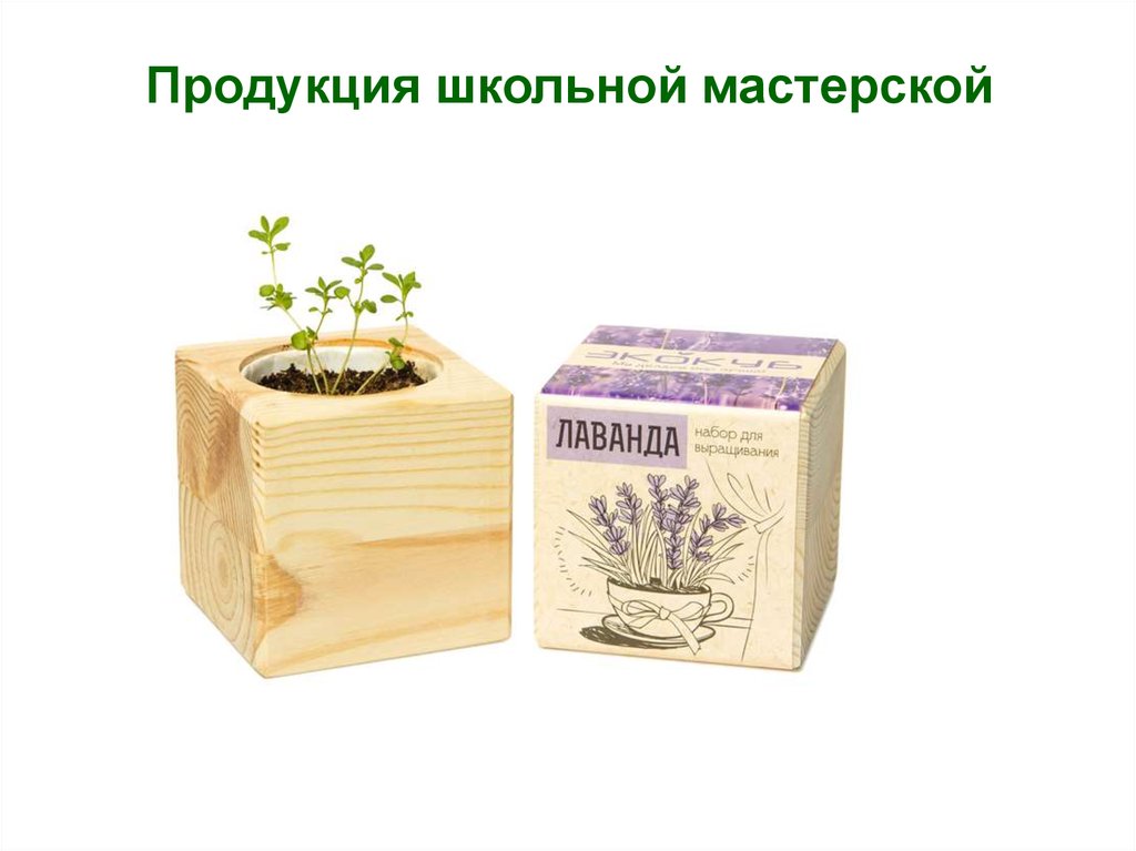 Продукция школьной мастерской