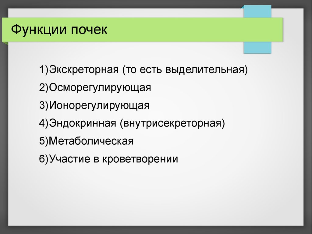 Функции почек