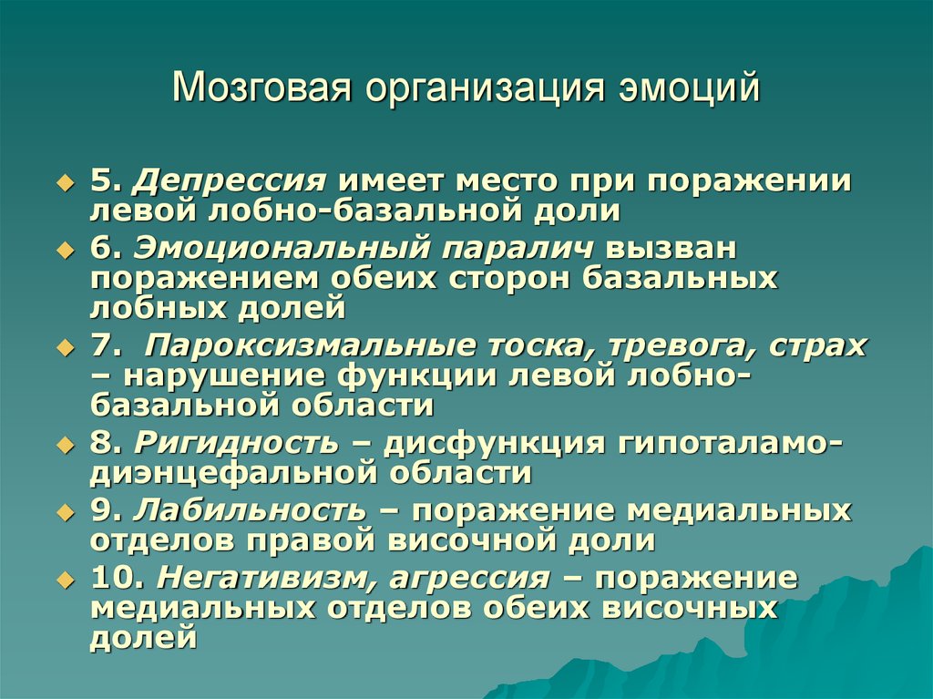 Организация мозга