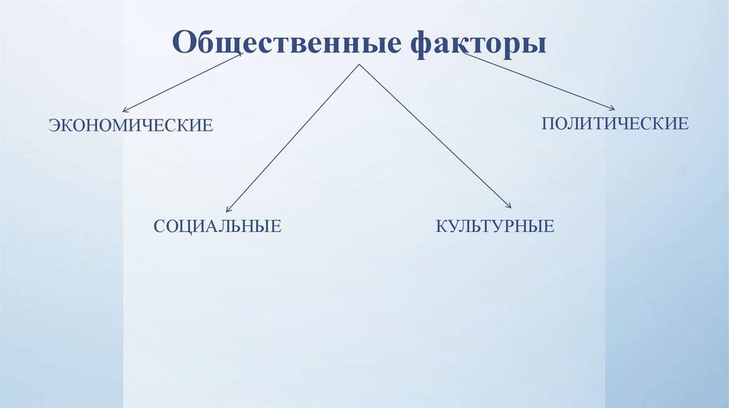 Используя факторы общественной жизни. Факторы общественной жизни. Общественные факторы. Политические экономические социальные факторы. Общественные факторы примеры.