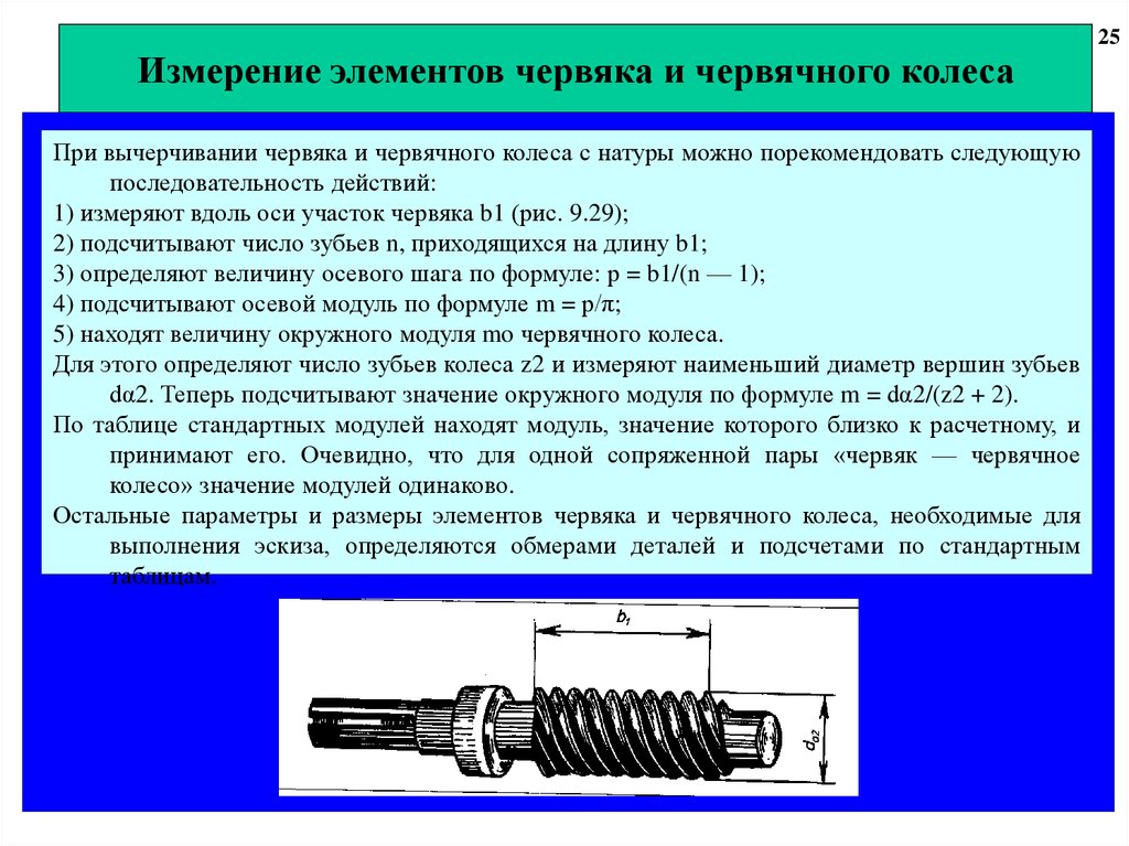 Профили червяков. Модуль червячного колеса формула. Измеряемые параметры червячной передачи. Модуль червячной передачи. Модуль для построения червячного колеса.