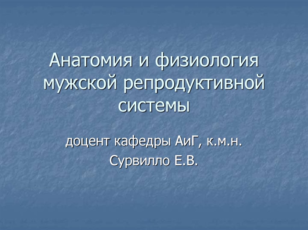 Анатомия и физиология мужской репродуктивной системы презентация