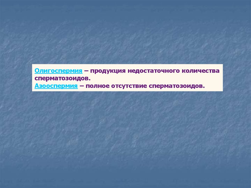 Анатомия и физиология мужской репродуктивной системы презентация