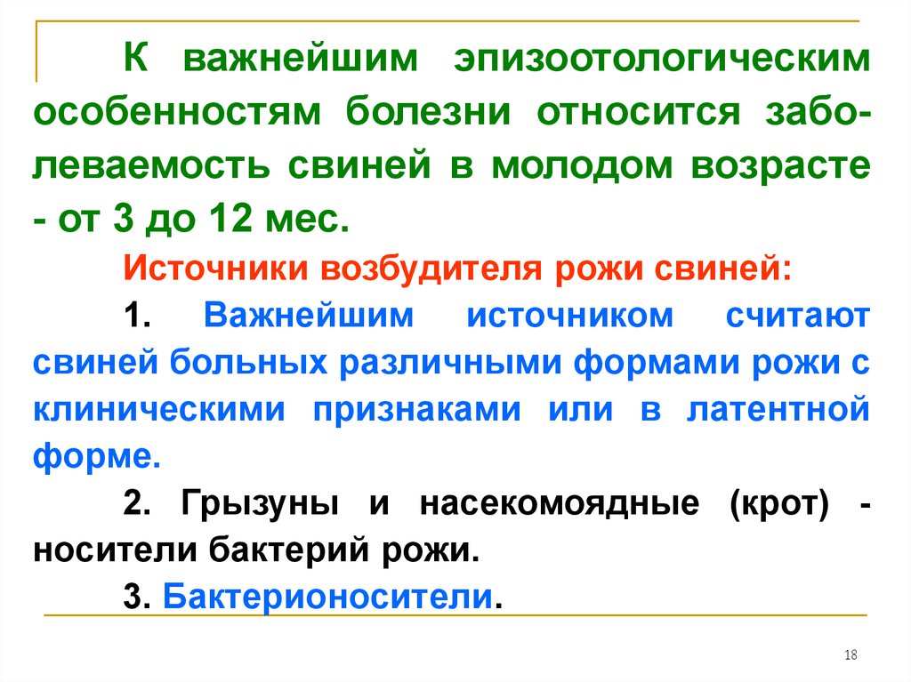 Реферат: Рожа свиней: патогенез, клиническая картина и диагностирование