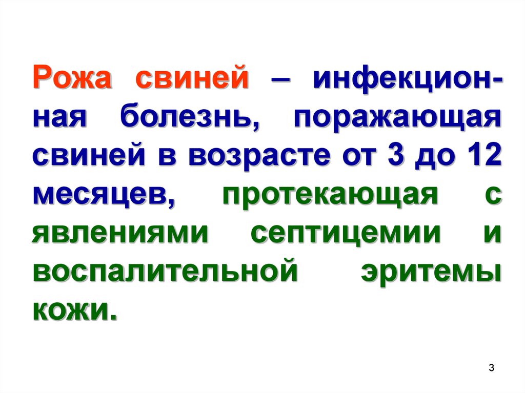 Реферат: Рожа свиней: патогенез, клиническая картина и диагностирование