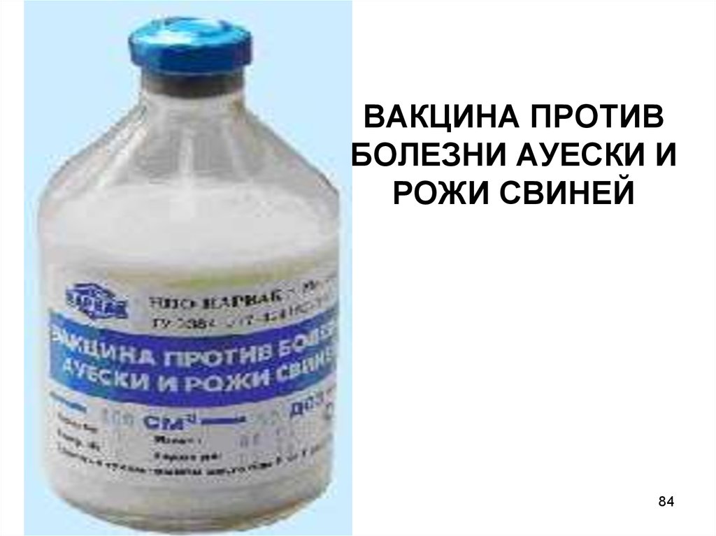 Рожа свиней дозировка. Вакцина против болезни Ауески. Вакцина против Ауески свиней. Вакцина против болезни Ауески и рожи свиней. Вакцина от Ауески для поросят.