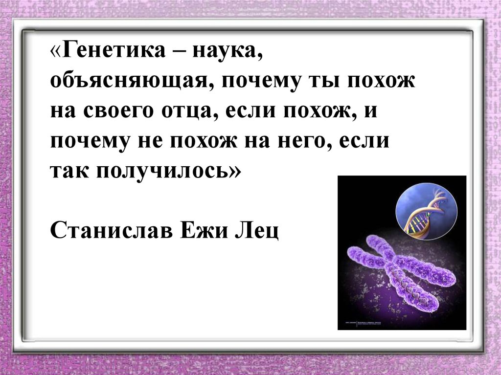 Генетика пола. Генетика пола презентация. Генетика это наука о. Генетика пола кратко и понятно. Генотип. Генетика пола..