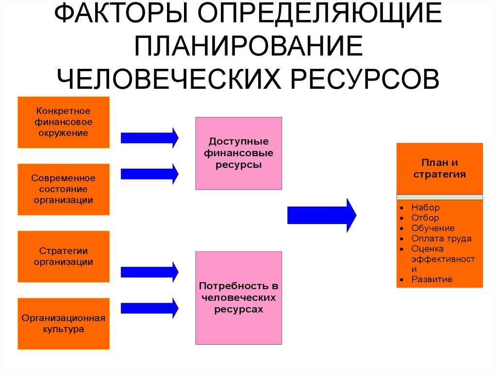 Понять фактор. План человеческих ресурсов. Факторы определяющие планирование. Планирование человеческих ресурсов у организации. План развития человеческих ресурсов.